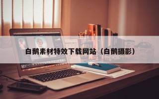 安陆白鹅素材特效下载网站（白鹅摄影）